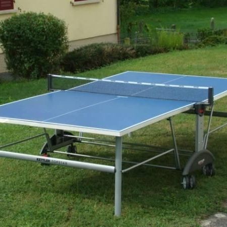 Eine wetterfeste Tischtennisplatte auf einer Rasenfläche