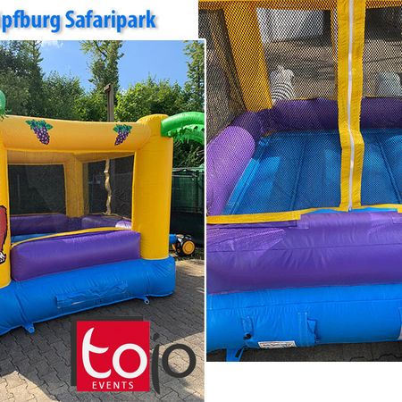 Safari Park Hüpfburg mit leerem Bällebad